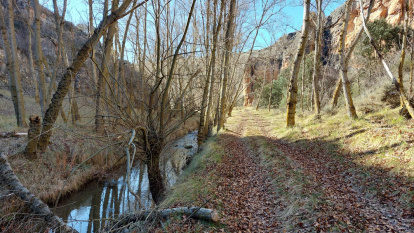Una ruta por uno de los lugares más bellos y desconocidos de Soria