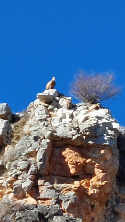 Una ruta por uno de los lugares más bellos y desconocidos de Soria