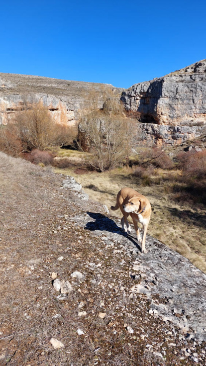 Una ruta por uno de los lugares más bellos y desconocidos de Soria