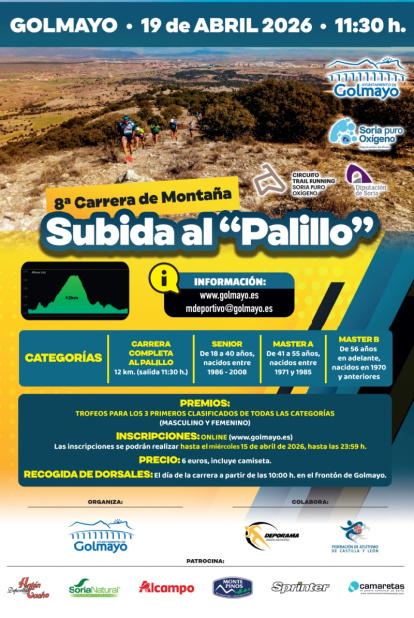 Cartel anunciador de la VIII Subida al Palillo