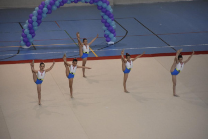 Las gimnastas de CG Duero cosecharon grandes resultados en el Campeonato Provincial.