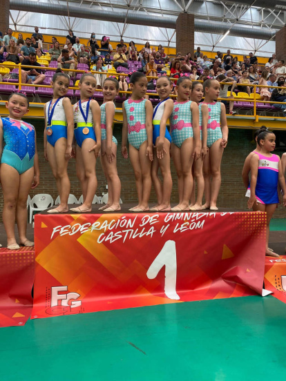 La gimnasia soriana logró muy buenos resultados
