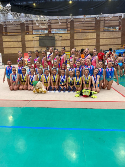 La gimnasia soriana logró muy buenos resultados