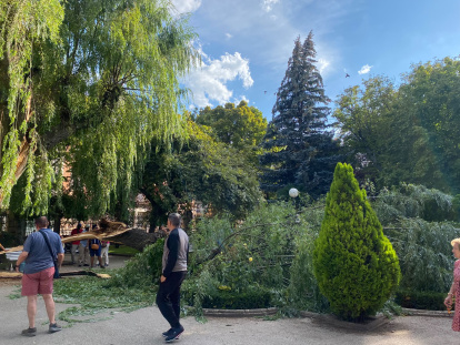 Susto en la Dehesa de Soria tras desgajarse una rama y parte del tronco de un árbol y caer sobre la fuente del 'niño meón'.