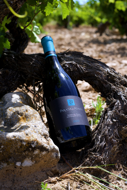 Botella de Parada de Atauta.