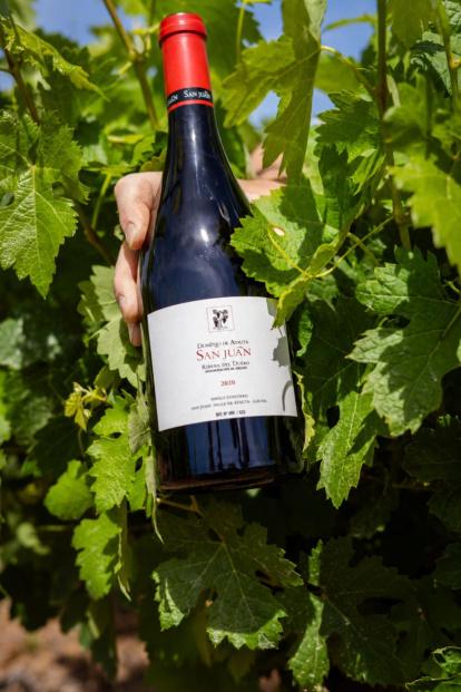 Vino reconocido con 100 pueblos en la guía.