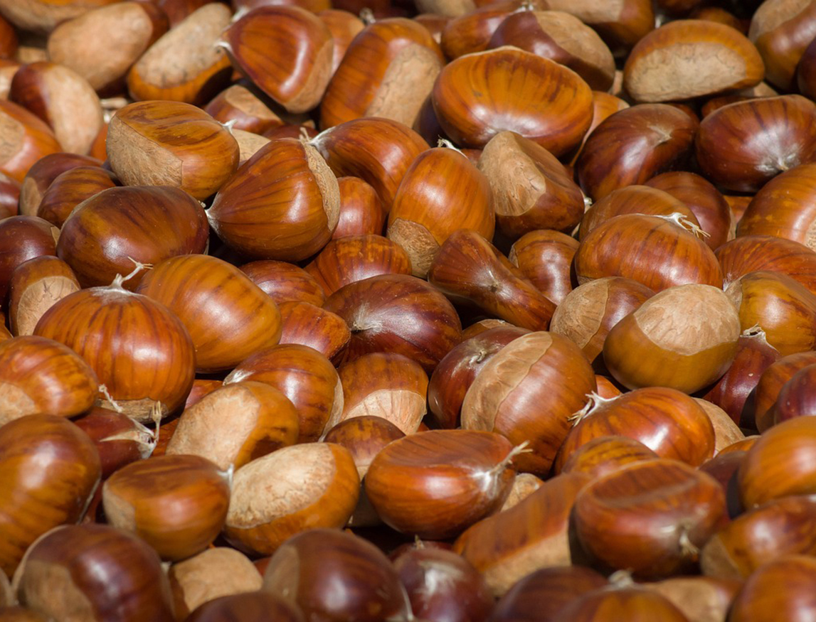 Gastronomía Castañas Un Fruto Seco De Bajo Contenido Calórico 